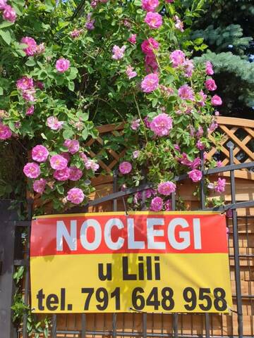 Фотографии Проживание в семье Noclegi u Lili г. Члухув (Польша) №3 Фото Проживание в семье Noclegi u Lili г. Члухув 3